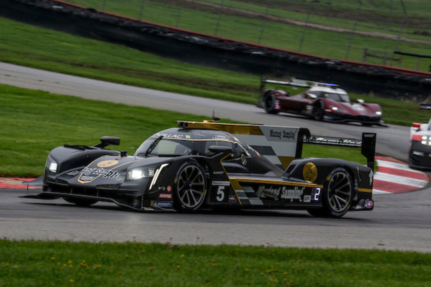 IMSA, Mid-Ohio, Lexington, Ohio, May 2019.  (Photo by Brian Cleary/bcpix.com)