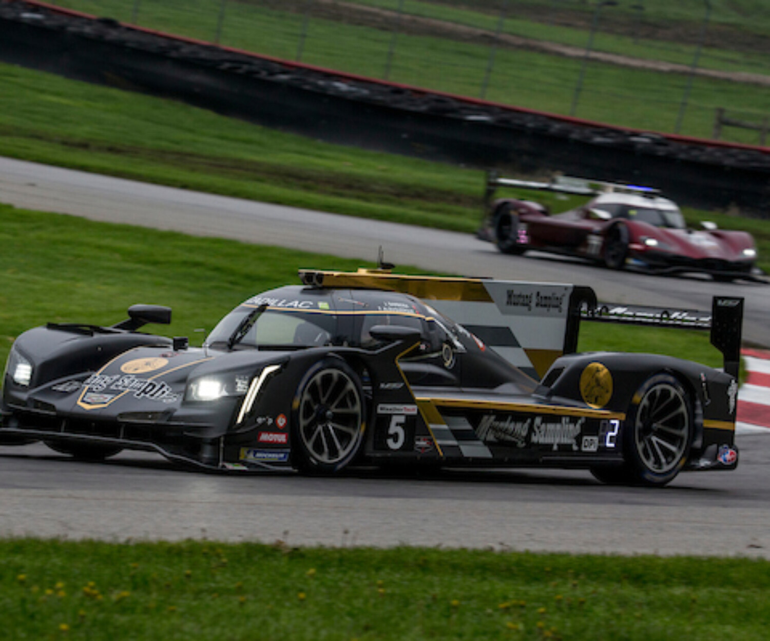IMSA, Mid-Ohio, Lexington, Ohio, May 2019.  (Photo by Brian Cleary/bcpix.com)