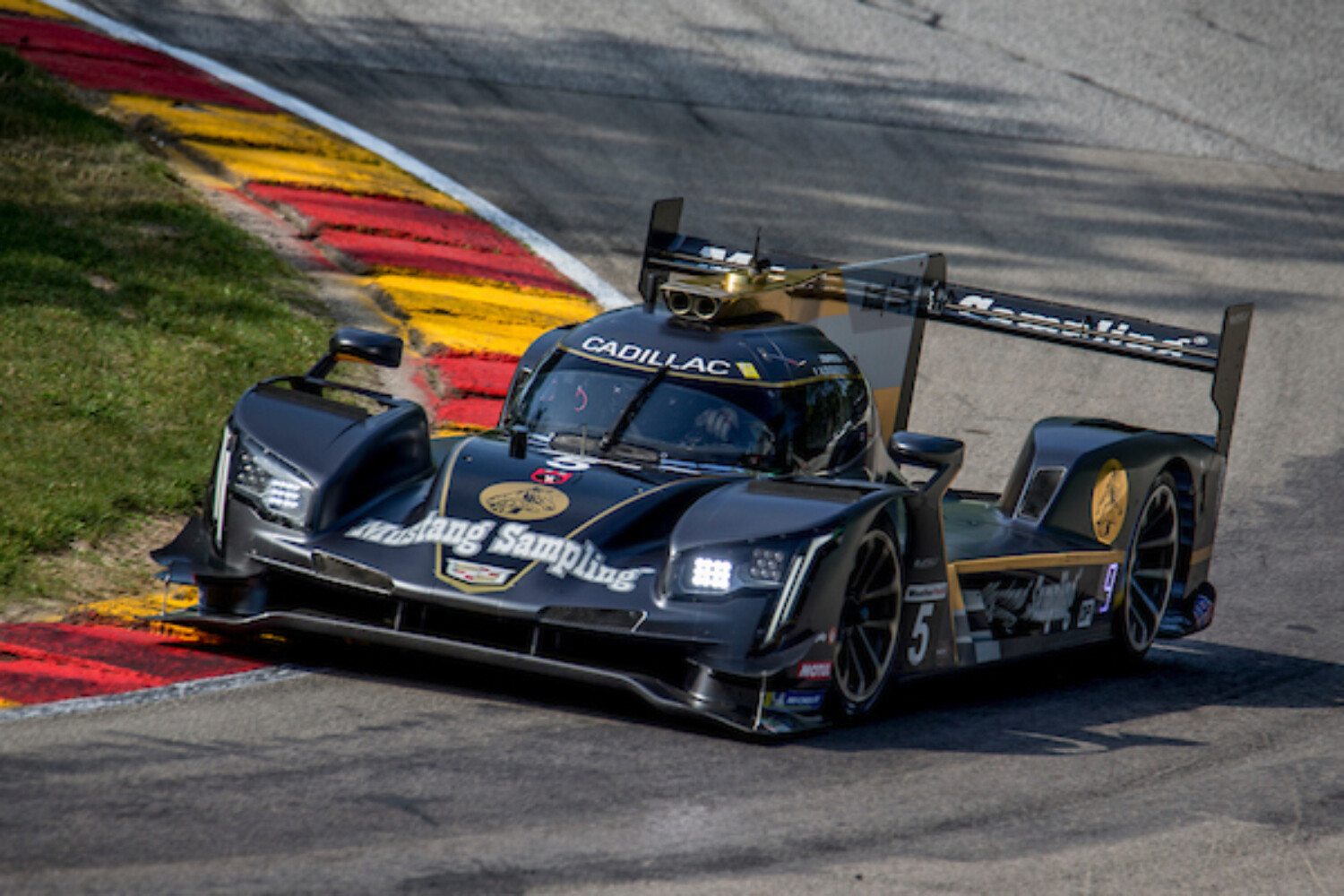 IMSA, Road America, Elkhart Lake, WI, August 2019. Photo by Brian Cleary/bcpix.com)