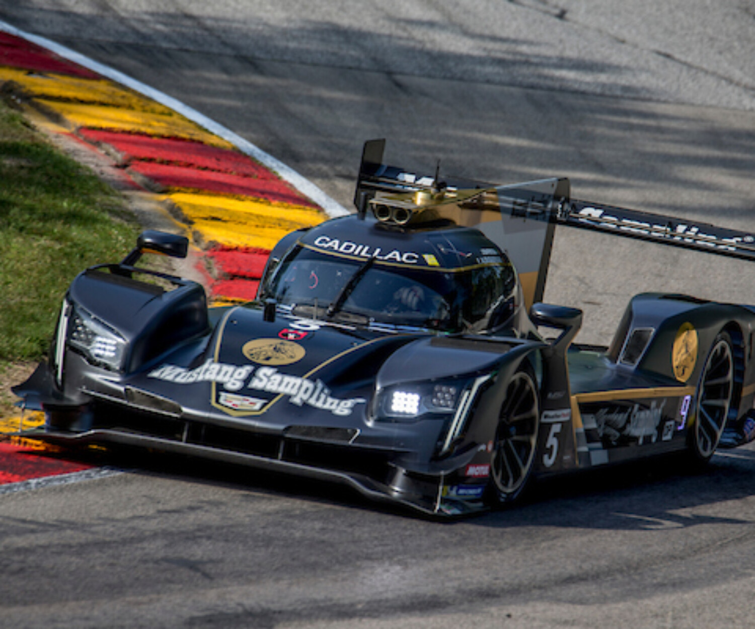 IMSA, Road America, Elkhart Lake, WI, August 2019. Photo by Brian Cleary/bcpix.com)